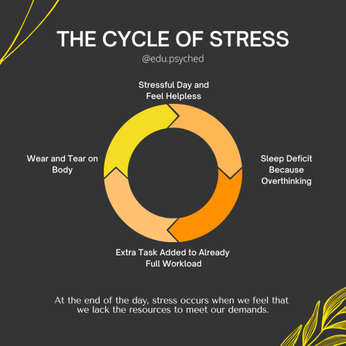 Reduce Your Stress: Tips and Techniques for a More Relaxed Life